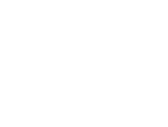 Softech