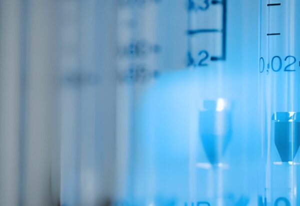 steptodown.com925815 steptodown.com925815